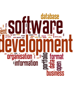 Custom Software Development
