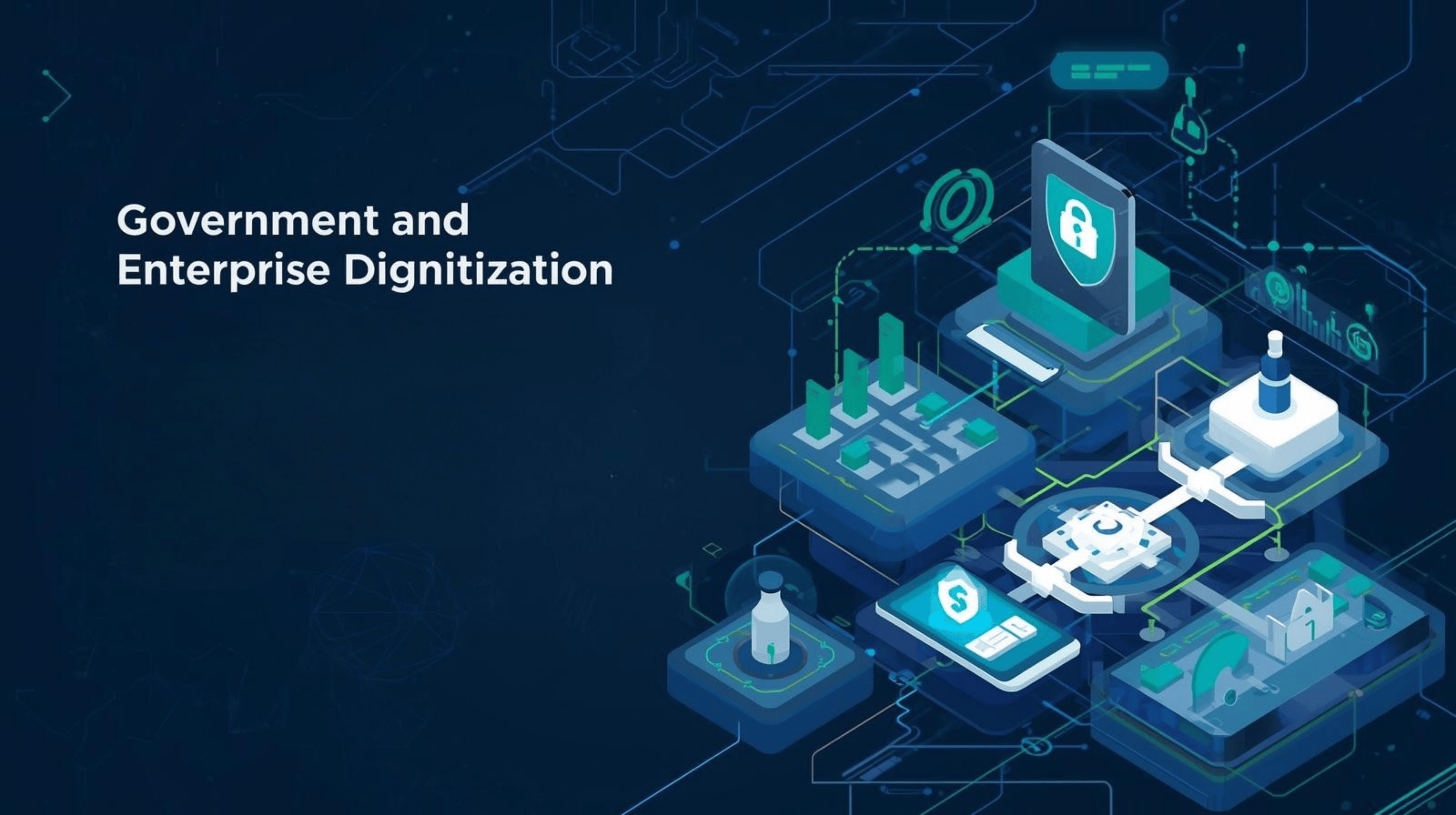 Government & Enterprise Digitization